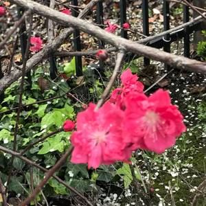 Meet your Posher, Hue